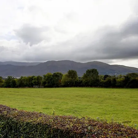 District Castle & 4*